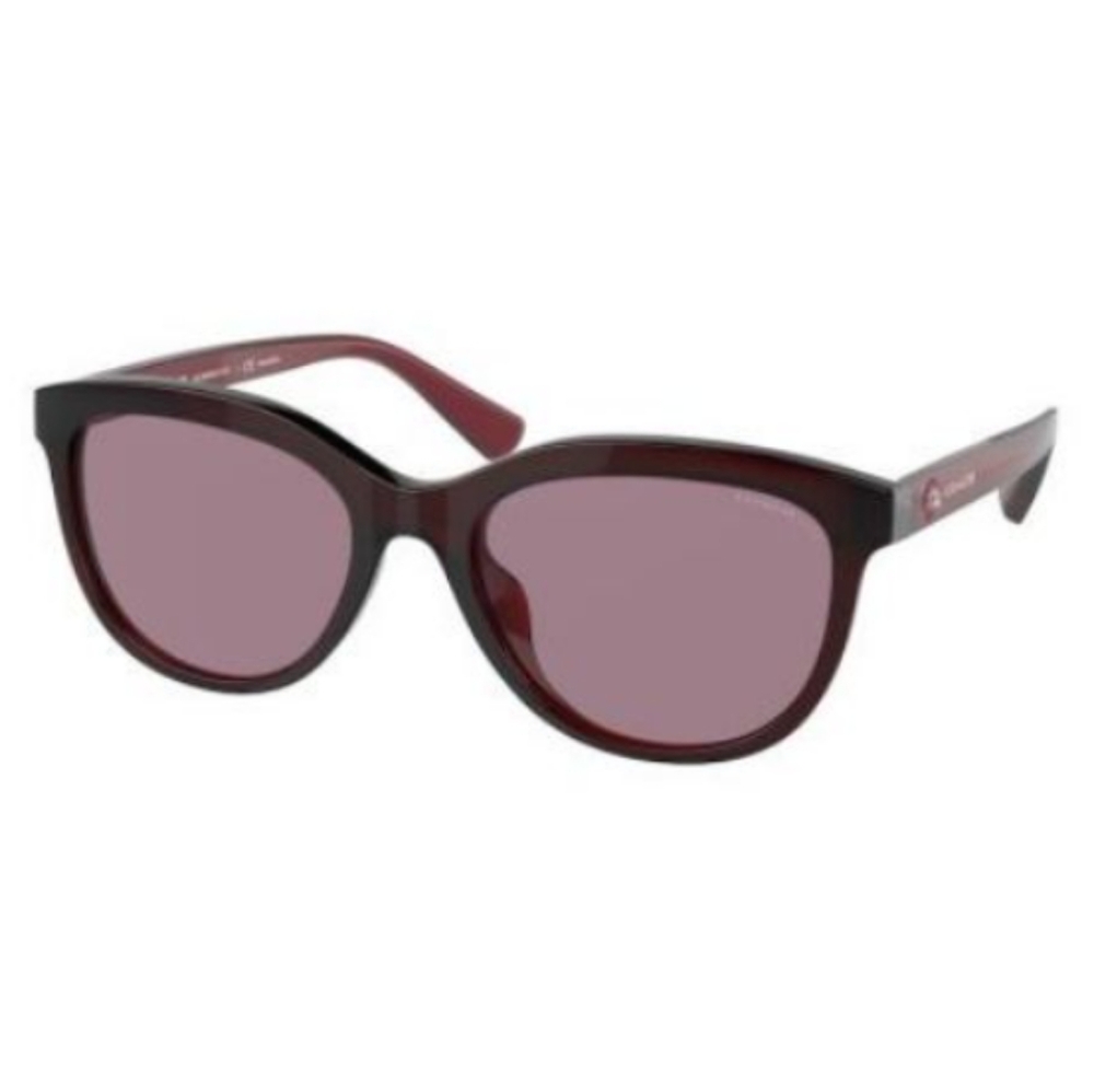 COACH Sunglasses HC8285U 5624LA/Transparent burgundy